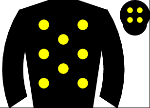 Horse silk