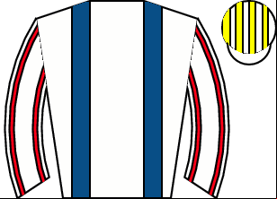 Horse silk
