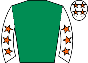 Horse silk