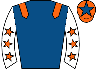 Horse silk