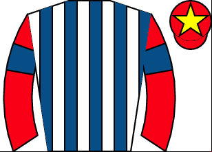 Horse silk