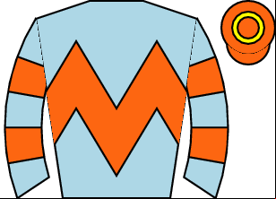 Horse silk
