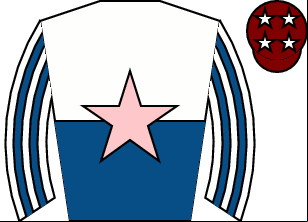 Horse silk