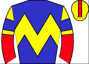 Horse silk