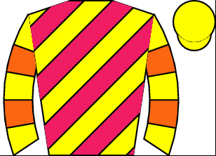 Horse silk