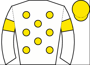 Horse silk