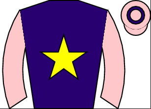 Horse silk