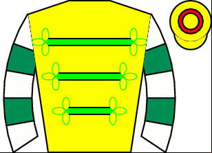 Horse silk