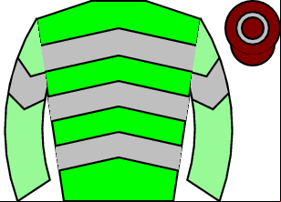 Horse silk