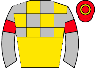 Horse silk