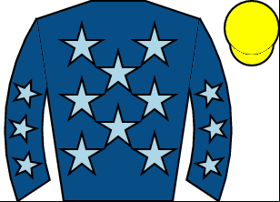Horse silk