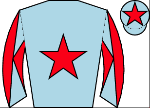 Horse silk
