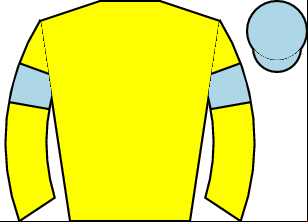 Horse silk