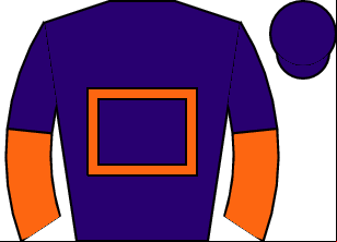 Horse silk