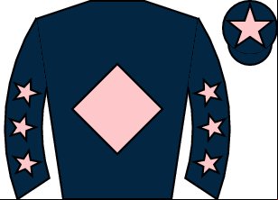 Horse silk