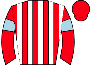 Horse silk