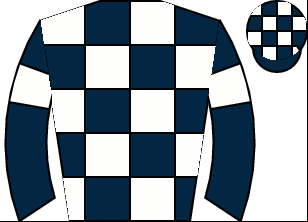 Horse silk