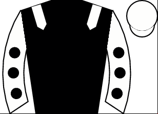 Horse silk