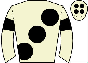 Horse silk
