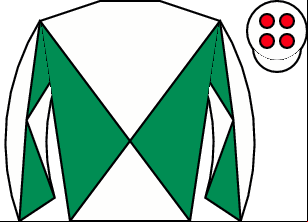 Horse silk