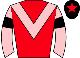 Horse silk