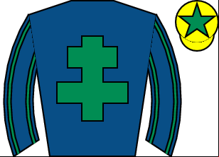 Horse silk