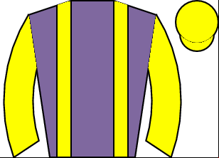 Horse silk
