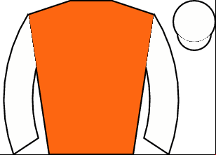 Horse silk
