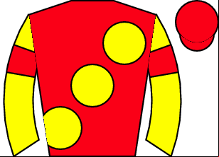 Horse silk