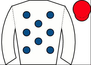 Horse silk