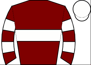Horse silk