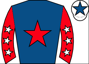 Horse silk