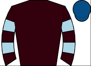 Horse silk