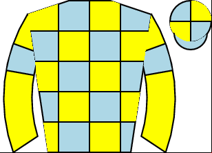 Horse silk