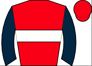 Horse silk