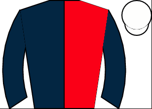 Horse silk