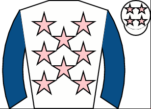 Horse silk