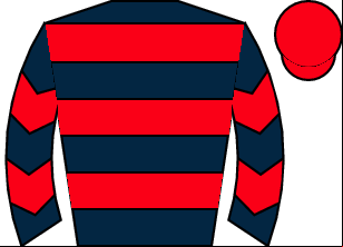 Horse silk