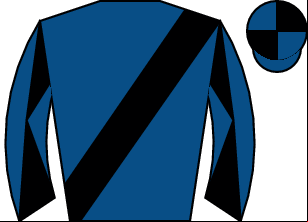Horse silk