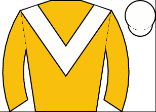 Horse silk