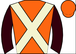 Horse silk
