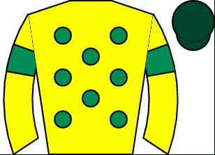 Horse silk