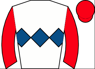 Horse silk