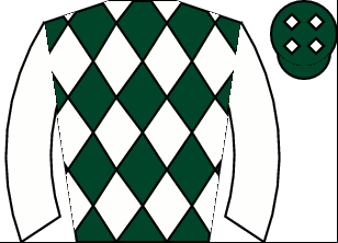 Horse silk