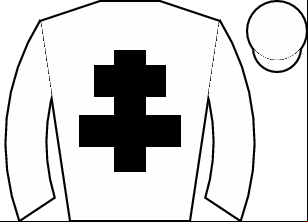 Horse silk