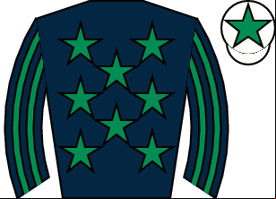 Horse silk
