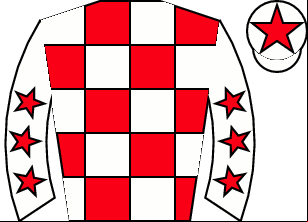 Horse silk