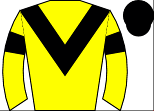 Horse silk