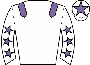 Horse silk