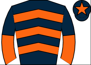 Horse silk